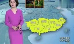 娱乐八怪爆料,明星幕后惊人真相大曝光！